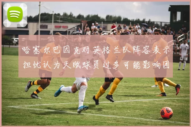 哈塞尔巴因克对英格兰队阵容表示担忧认为天赋球员过多可能影响团队合作
