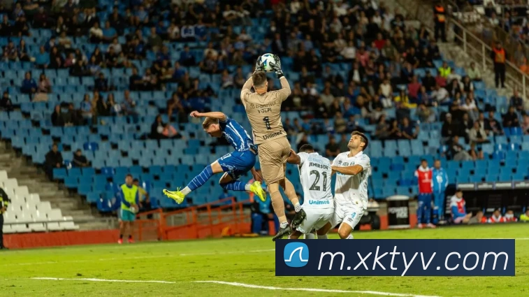 星空体育平台生态图